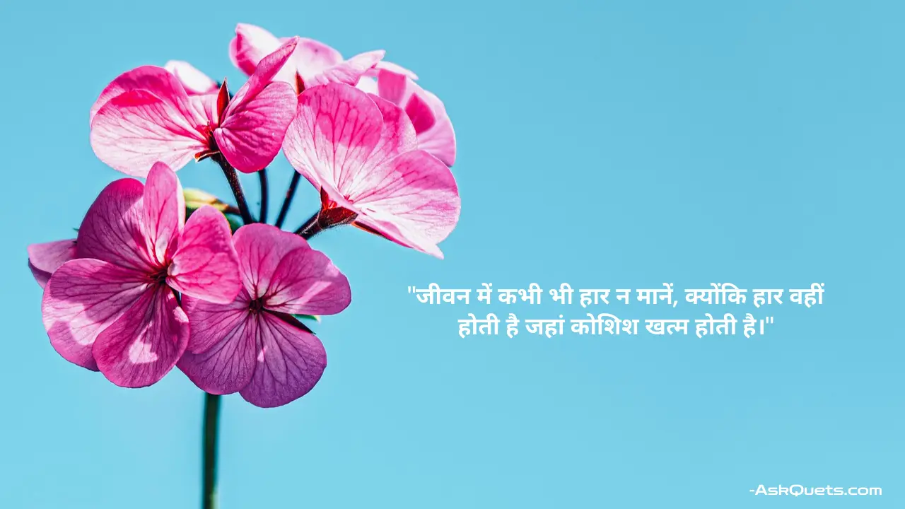 Best Life Motivational Quotes in Hindi for Daily Inspiration