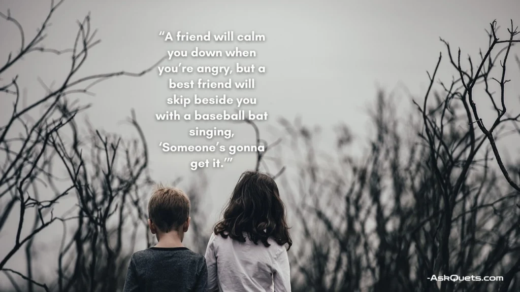 Funny Friendship Quotes