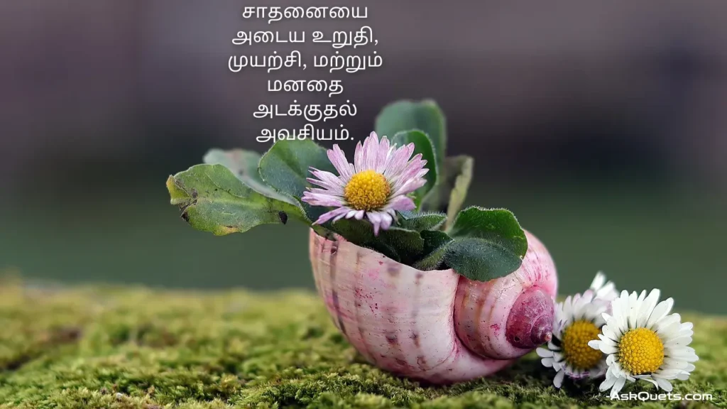 Motivational Quotes in Tamil: Wisdom for Life's Journey 4 Motivational Quotes in Tamil