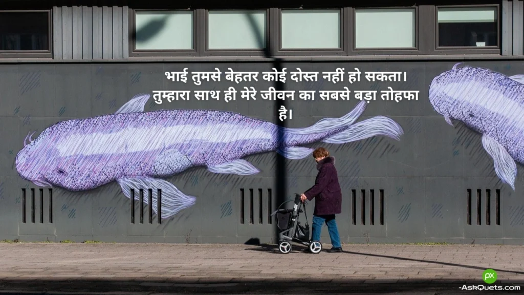 Heart Touching Birthday Wishes For Brother in Hindi |भाई को जन्मदिन की शुभकामनाएं 5 Heart Touching Birthday Wishes For Brother in Hindi