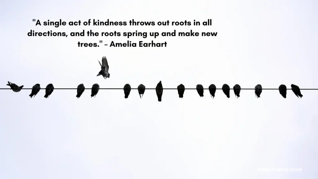 Quotes to Inspire