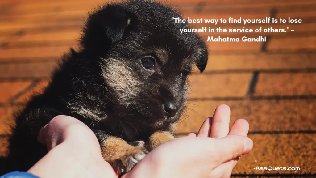 Quotes to Inspire